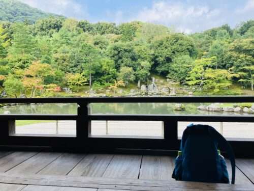 天龍寺の庭