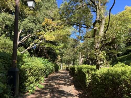 鬼の雪隠へ向かう道