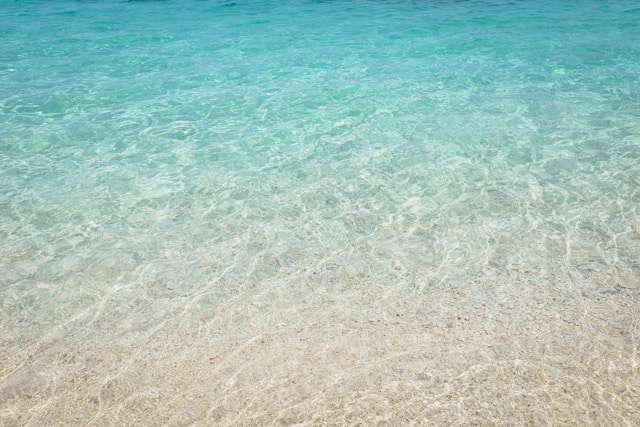 透明な海の水