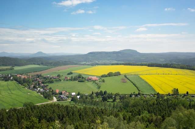 田舎の田園風景
