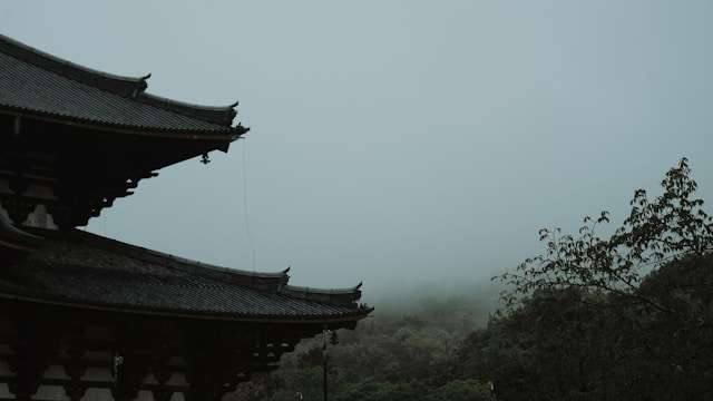霧の日の建物と木々